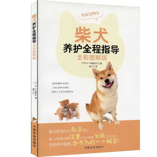 柴犬训练书