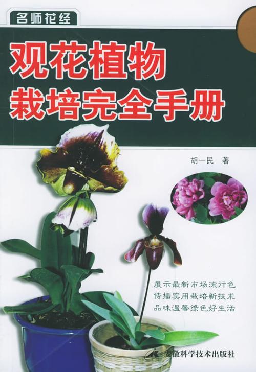 花卉栽培步骤