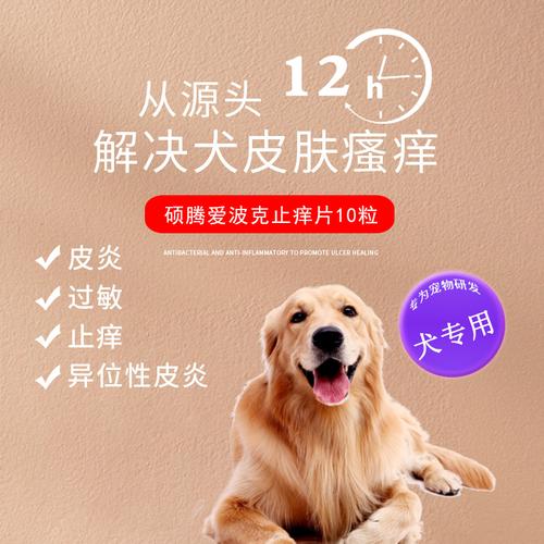 狗吃东西过敏吃什么药