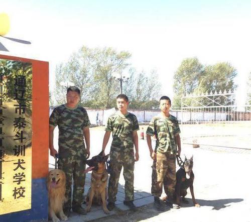 包头狗狗训练学校