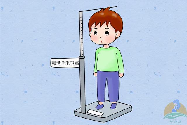 怎么测孩子未来身高