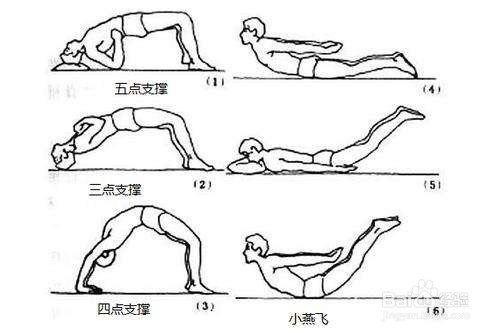 什么运动锻炼腰部肌肉