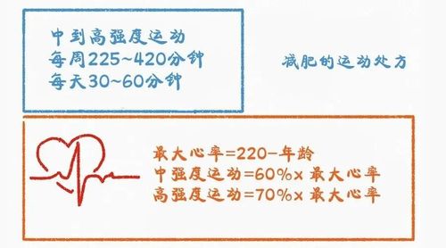 提高心率运动