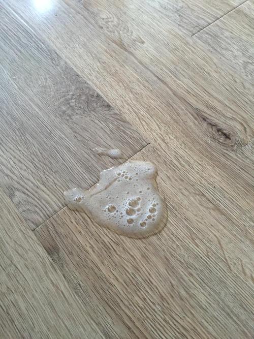 猫呕吐 两天没吃东西怎么办
