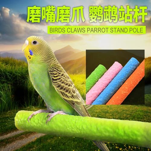 如何制作鹦鹉磨牙东西