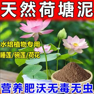 荷花无土栽培的基质