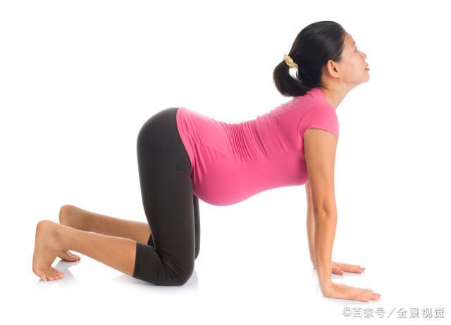 做什么运动可以减小肚子