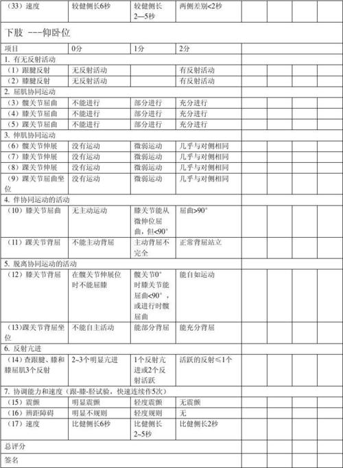 运动功能量表是