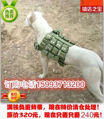 斗狗训练用品
