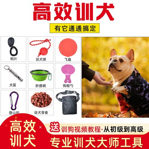 狗训练的工具怎么做