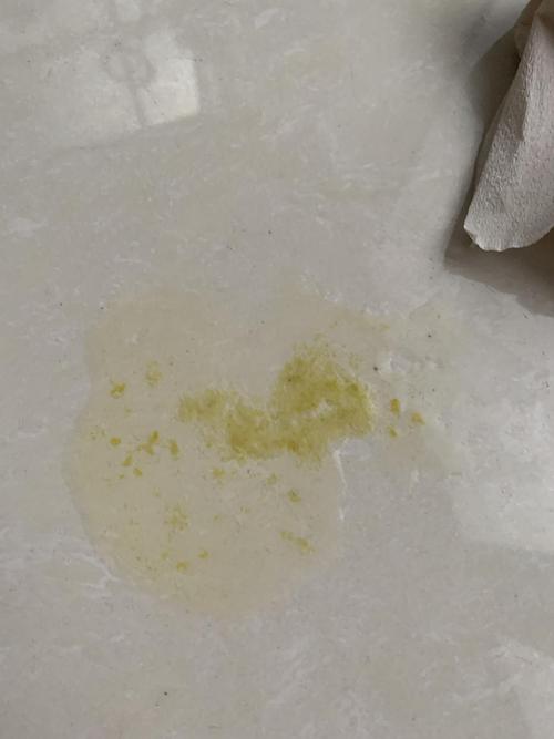 猫呕吐白泡 不吃东西 不喝水