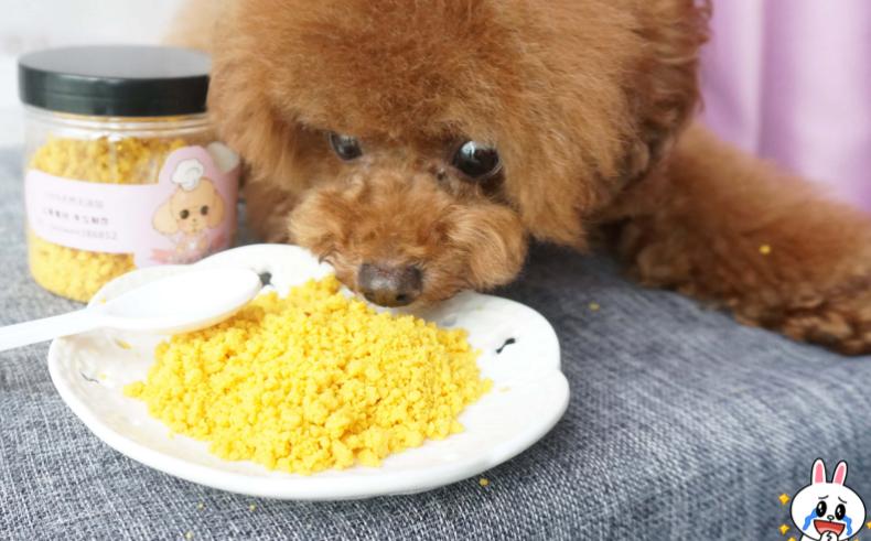 给泰迪狗做吃的东西怎么办