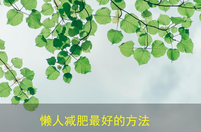懒人运动减肥法