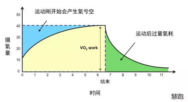 高强度间歇运动