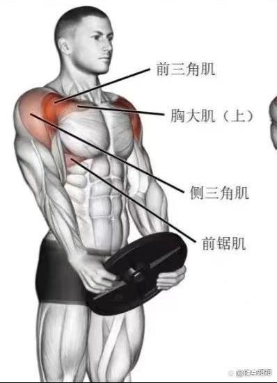 做什么运动有胸肌
