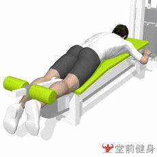 单腿屈伸运动