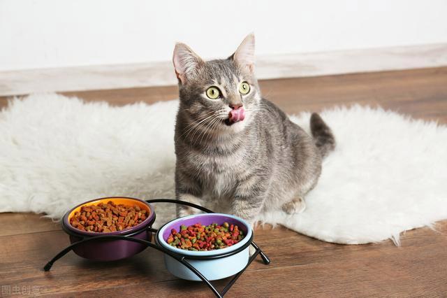 猫不爱吃东西是为什么