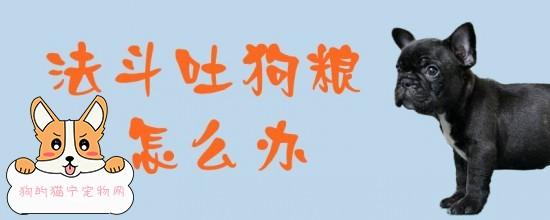 口吐完狗粮不吃东西