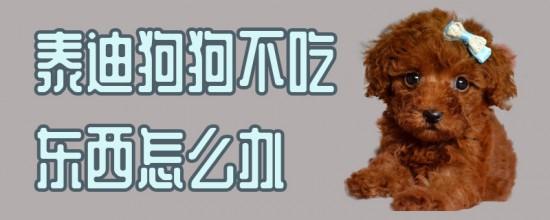 细小为什么不能吃东西怎么办