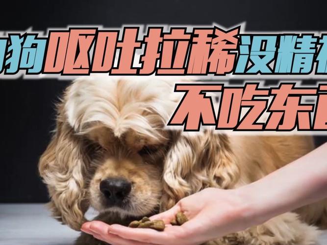 狗突然呕吐不吃东西
