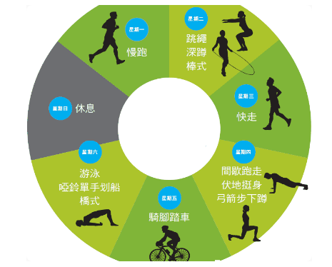 脂肪 有氧运动