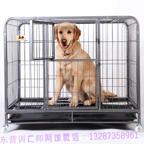 如何在笼子里训练幼犬
