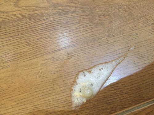 犬瘟不吃东西吐