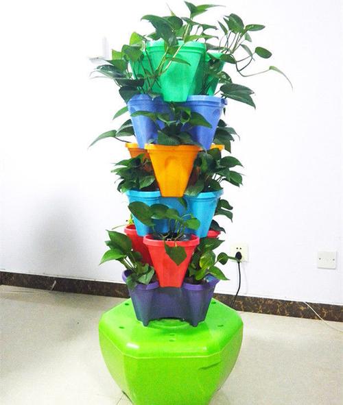 可无土栽培的花有哪些