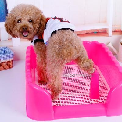 幼犬怎样训练上厕所