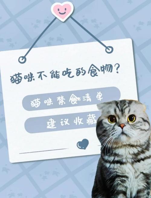 猫有哪些东西不能吃食物