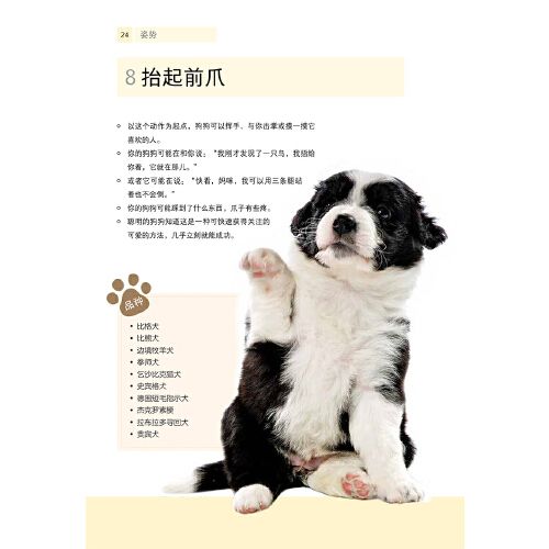 一个月大的狗训练