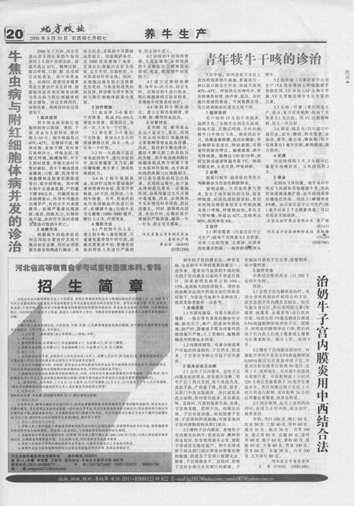 焦虫病不吃东西怎么办