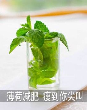 瘦大腿根的运动方式薄荷