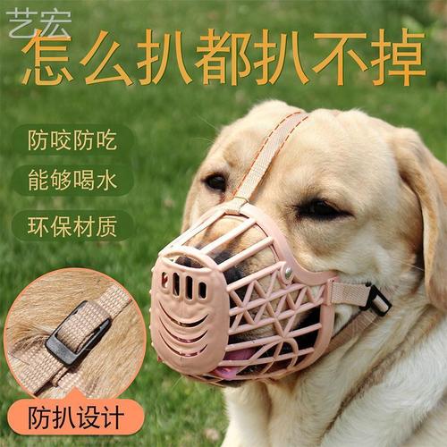 宠物用的东西怎么办