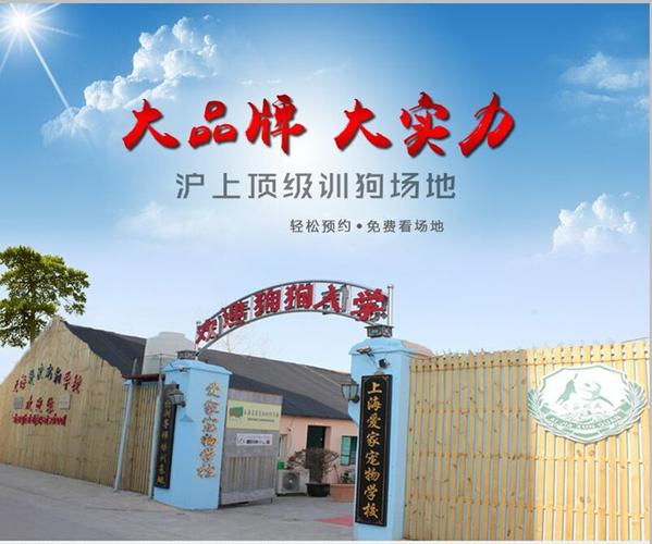 犬宠物训练学校
