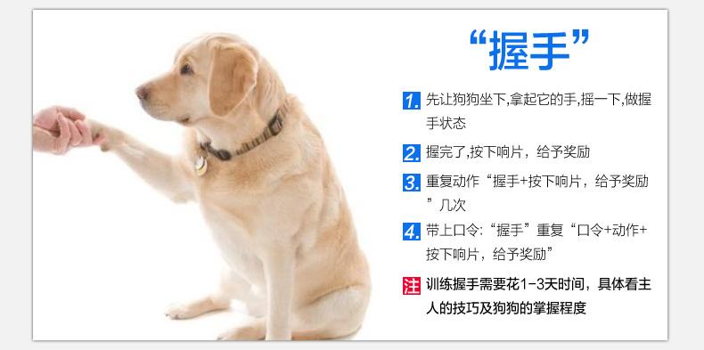 用响片训练狗狗定点大小便