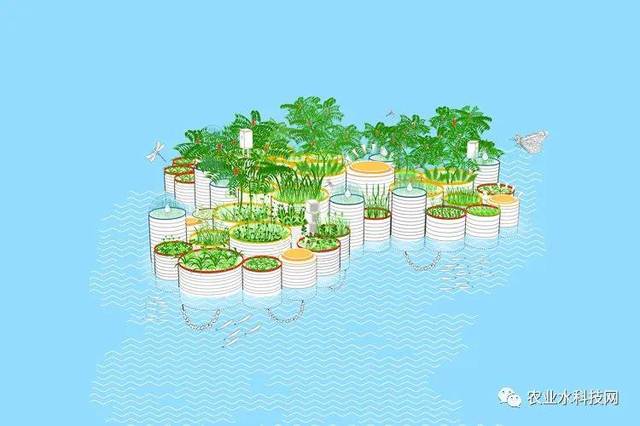 水生植物栽培养护措施