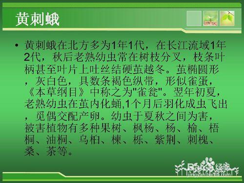 花卉栽培过程中常见的害虫