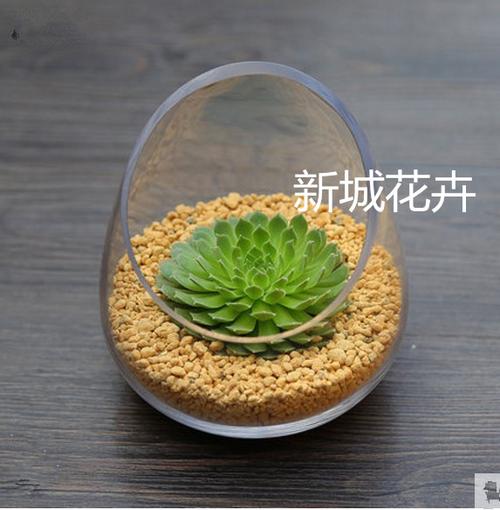 花卉的容器栽培