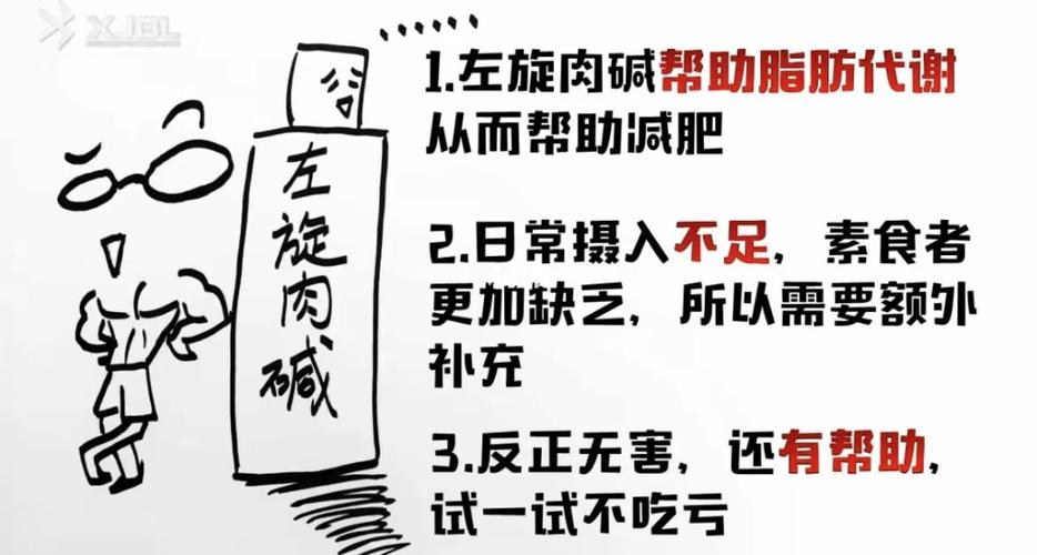 左旋肉碱运动