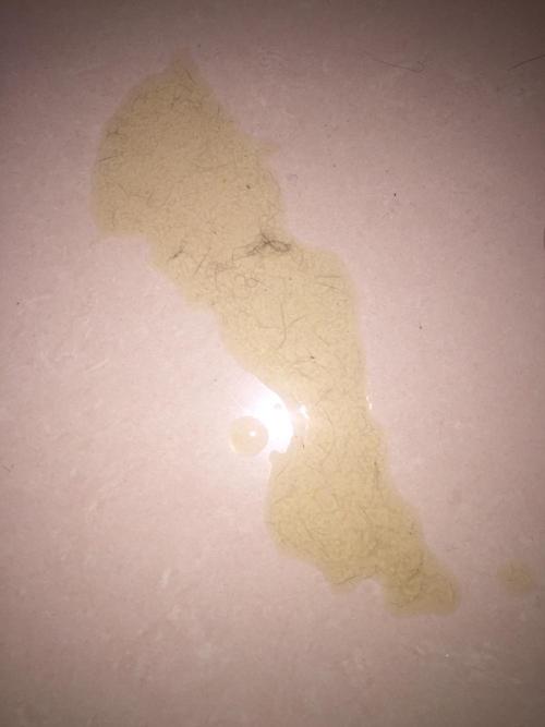 猫不吃东西呕吐拉稀怎么办