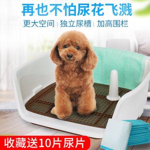 泰迪厕所训练
