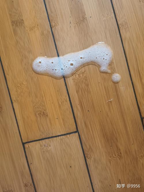 小猫呕吐黄水不吃东西