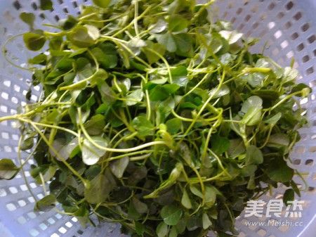 金花菜的做法