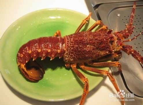 澳洲龙虾的做法