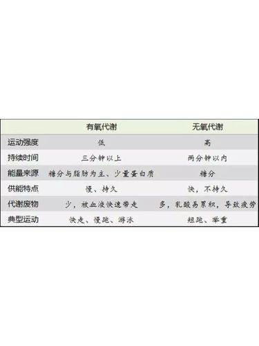 无氧运动 计划