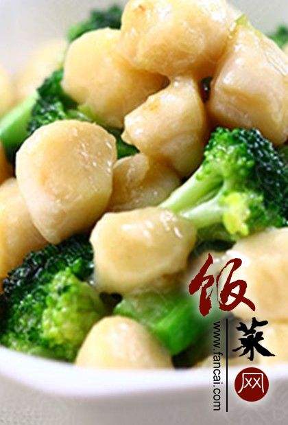 鲜贝的做法大全