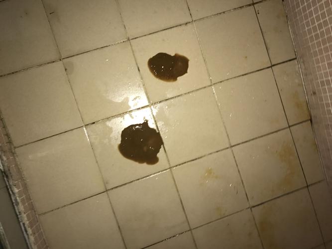 幼犬拉稀咳嗽不吃东西