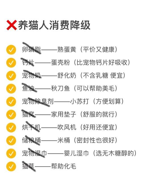 养猫要准备的东西