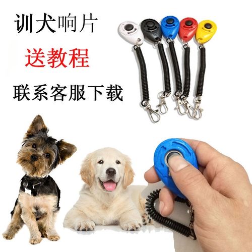 狗 响片训练